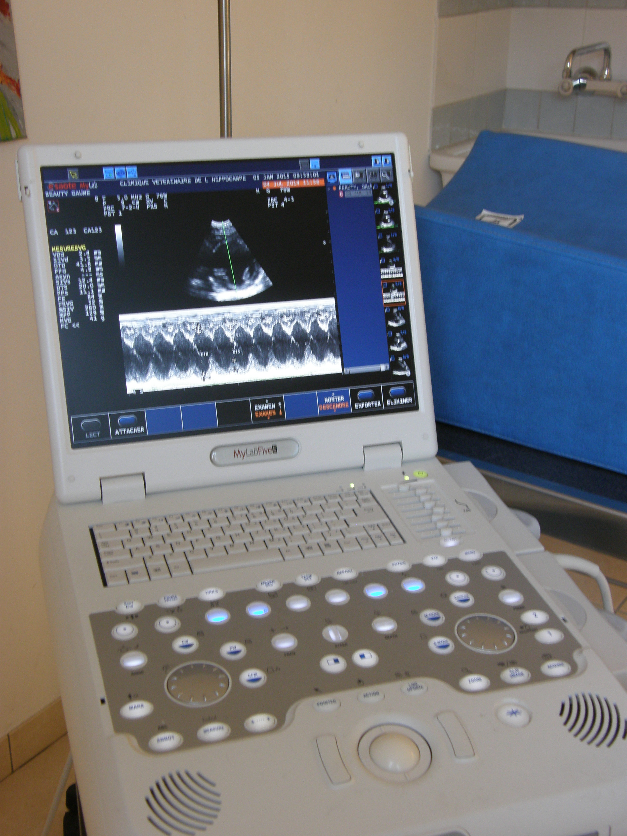 Clinique Vétérinaire Hippocampe