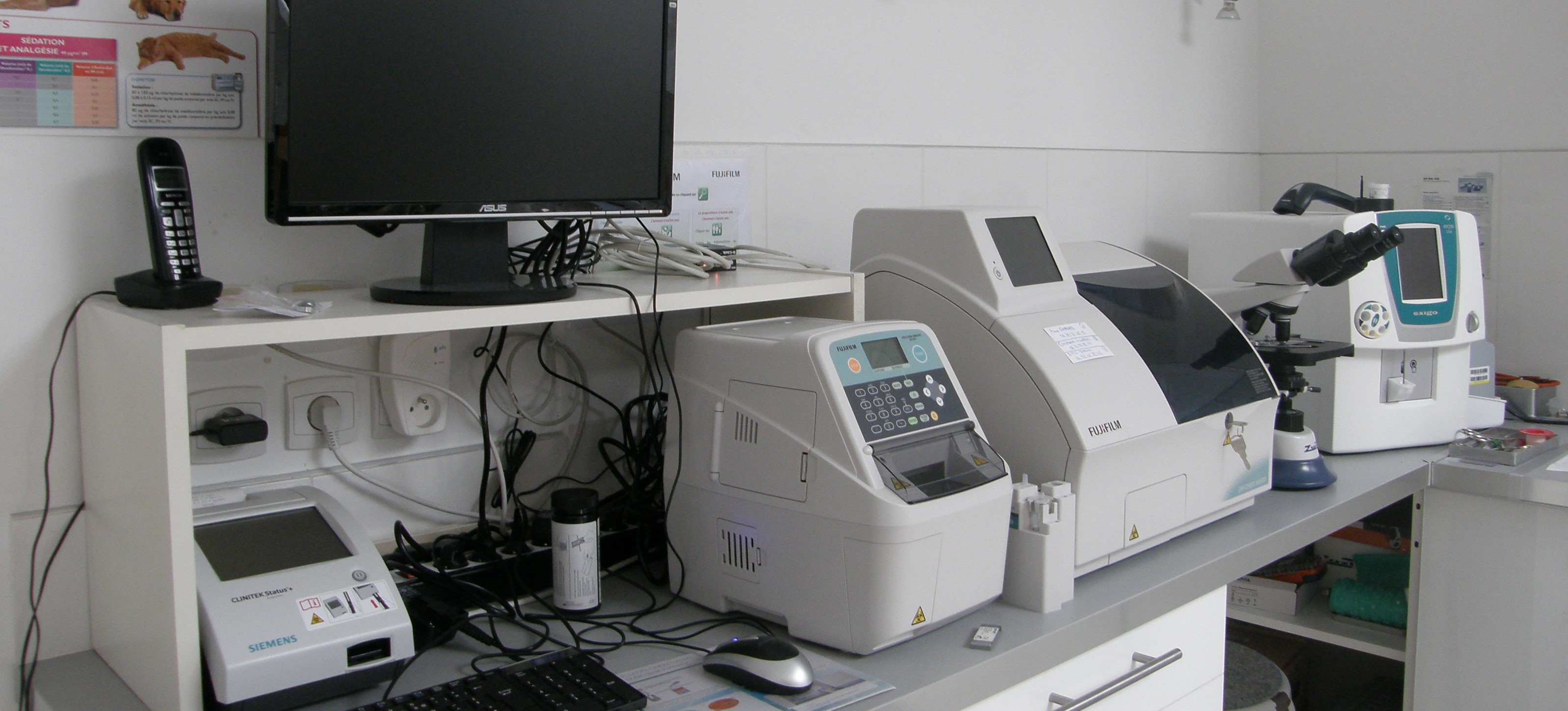 Clinique Vétérinaire Hippocampe